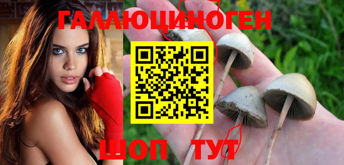 Галлюциногенные грибы Cubensis  Вход с VPN  Псилоцибиновые грибы ЛСД  где купить наркоту  Лобня 